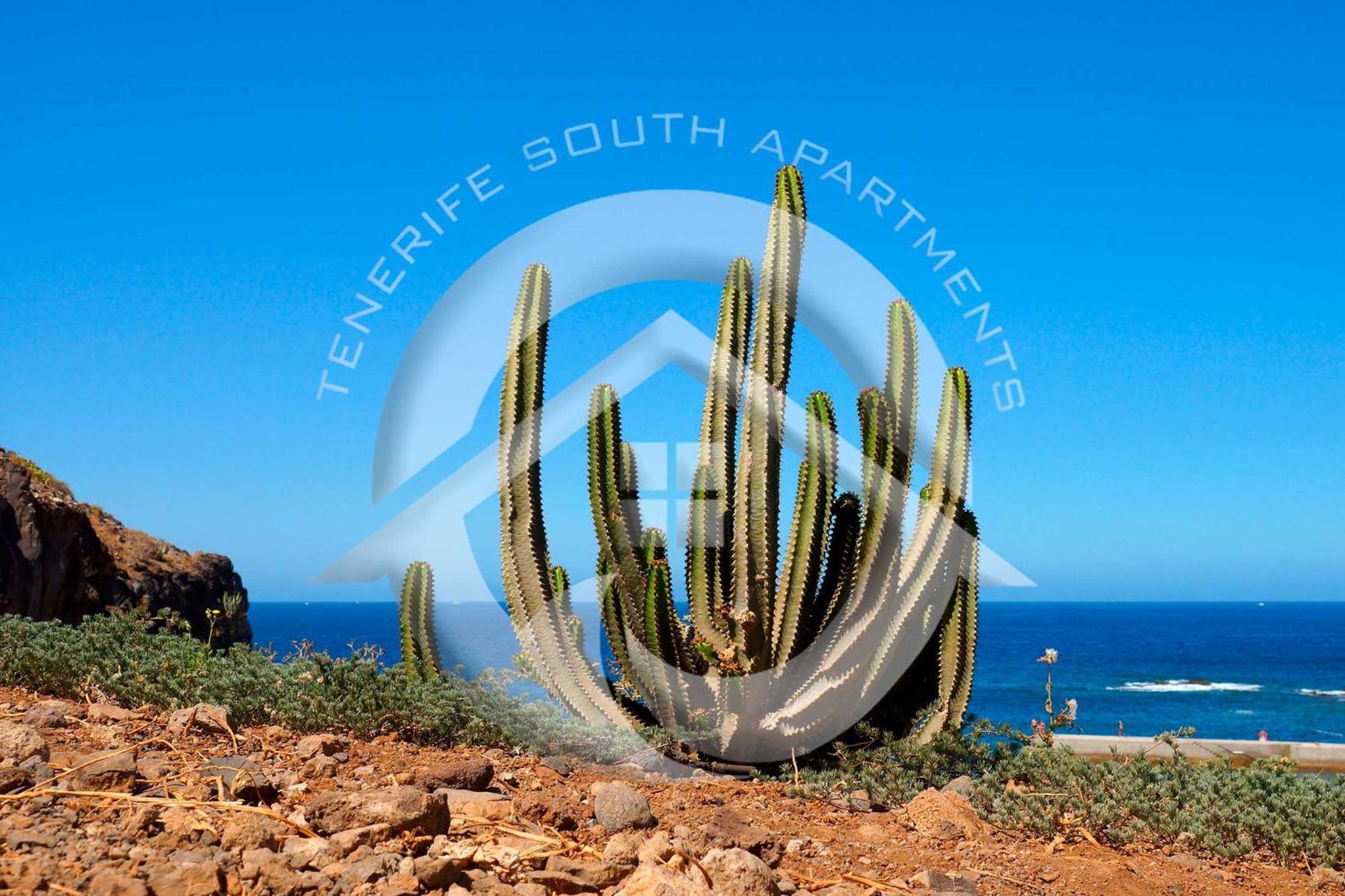 My Sea View Apartment Costa Adeje  ภายนอก รูปภาพ
